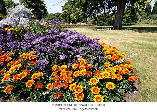 Colourful flowerbeds in Hyde Park, London, UK