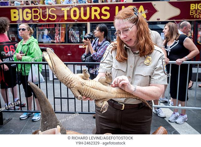 U. S. Fish and Wildlife Service Inspector with a stuffed crocodile and other endangered species in Times Square in New York at the Ivory Crush