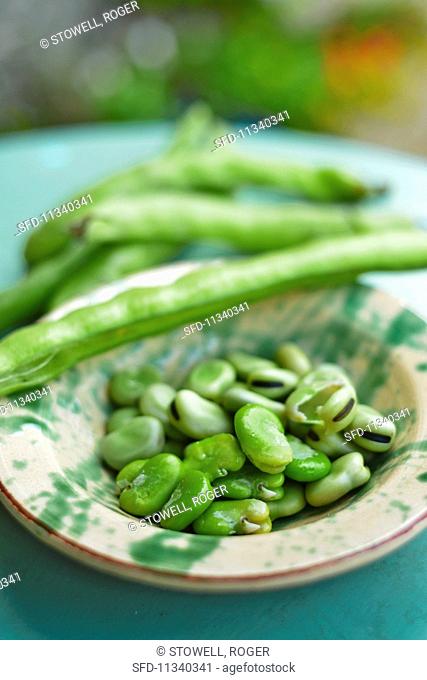Freshly shelled broad beans