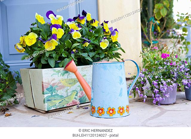 Close-up of watering can and flower pots at Balboa Island; California; USA