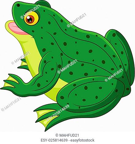 vector illustration of Frog cartoon