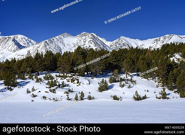 Snow covered Carlit lakes in winter (Pyrenees Orientales, Occitanie, France)