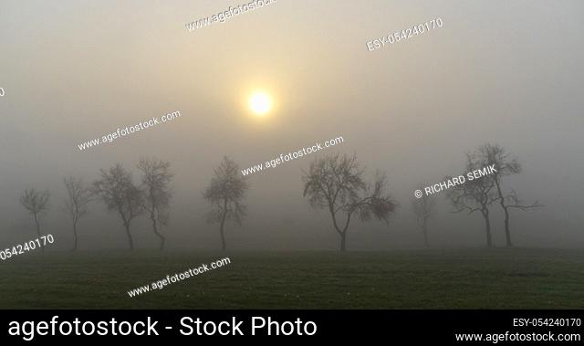 Foggy sunrise in northern Hungary