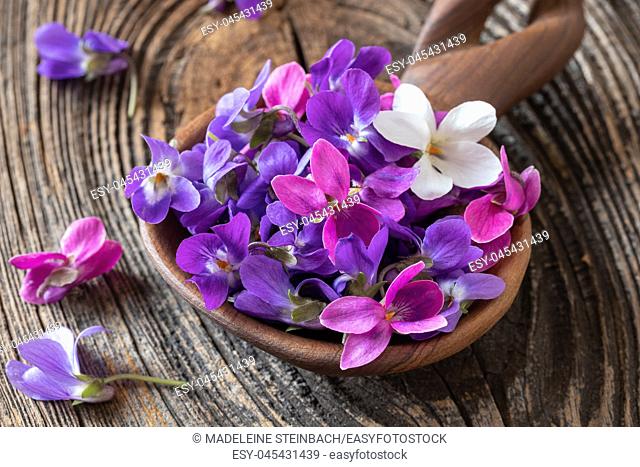 Wood violet flowers on a wooden spoon