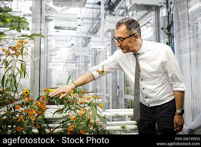 Cem Oezdemir (Alliance 90/The Greens), Federal Minister for Agriculture and Food, visits the phytotechnical center at the University of Hohenheim on the...