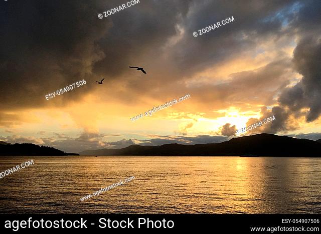 Sonnenuntergang am Fjord in Norwegen nach Gewitter mit Möwen - Sunset at the fjord in Norway after thunderstorm with seagulls