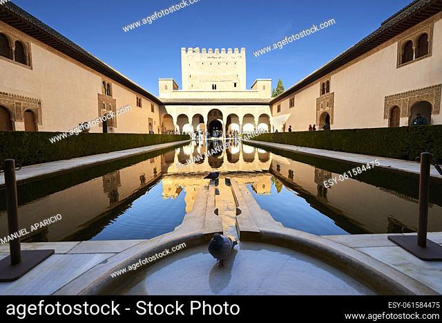 Arabesque Moorish architecture and pond of the Court of the Palacios Nazaries, Granada, Andalusia, Spain, Europe