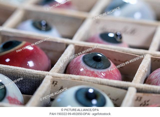 11 February 2019, Mecklenburg-Western Pomerania, Rostock: A part of the 132 pathologies of the historical glass eye archive of the Eye Clinic of the Rostock...