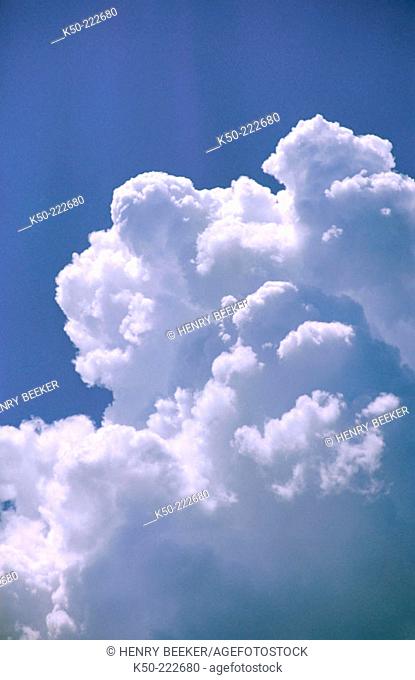 Towering Cumulonimbus cloud