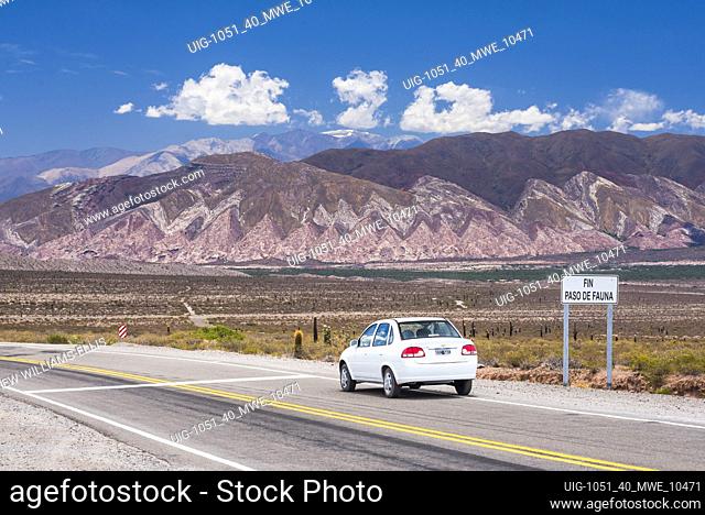 Driving through Cactus National Park (Parque Nacional Los Cardones), Cachi Valley, Calchaqui Valleys, Salta Province, North Argentina