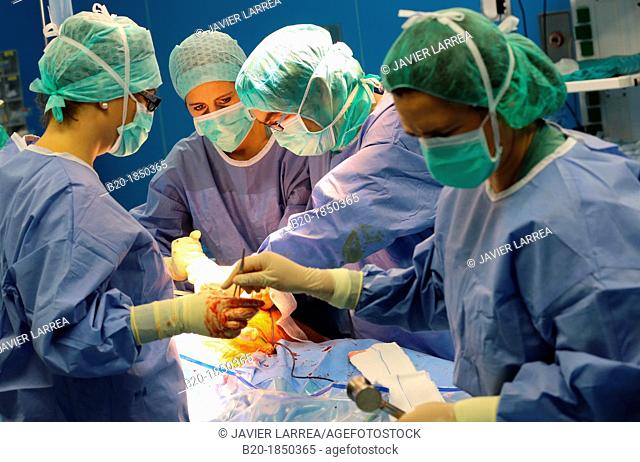 Hip replacement surgery, Orthopedics and Trauma surgery, Surgeon, Operating Theatre, Donostia Hospital, San Sebastian, Donostia, Gipuzkoa, Basque Country, Spain