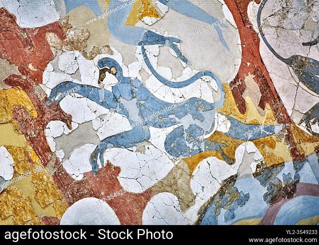 Fragment of Minoan style wall painting Blue Monkeys fresco Akrotiri, Mature Cycladic I period 17th cent BC, Thera Prehistoric Museum. INV 344