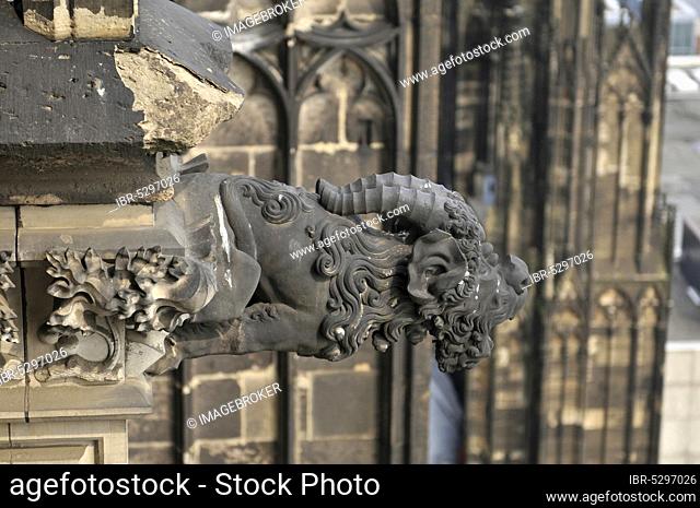 Gargoyle, he, Cologne Cathedral, Cologne, North Rhine-Westphalia, Germany, Europe