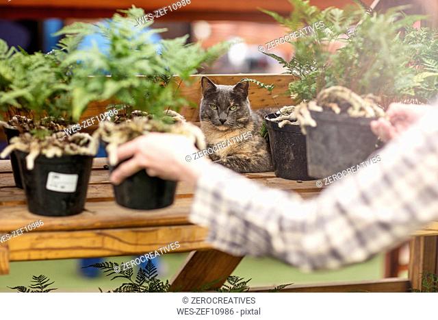 Woman putting pots on stand in garden centre