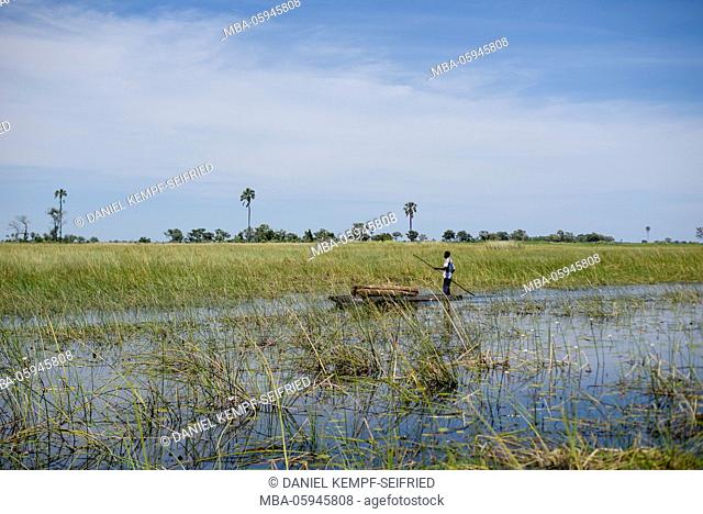 A fisherman on the way with his mokoro in the Okavango Delta, Botswana