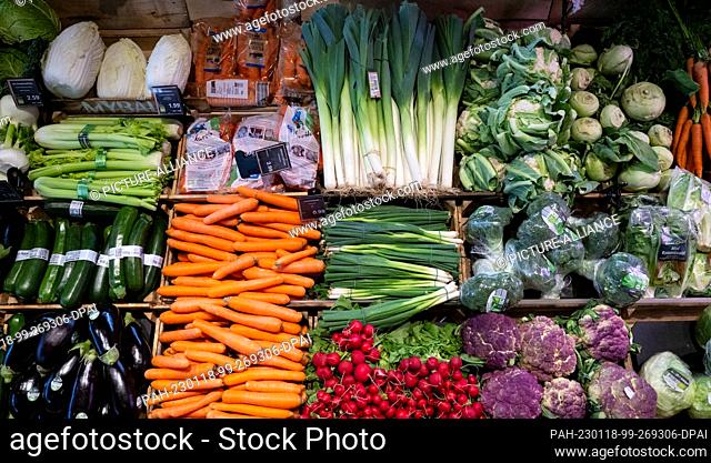 18 January 2023, Bavaria, Neubiberg: Vegetables are on display in a supermarket. Photo: Sven Hoppe/dpa. - Neubiberg/Bavaria/Germany