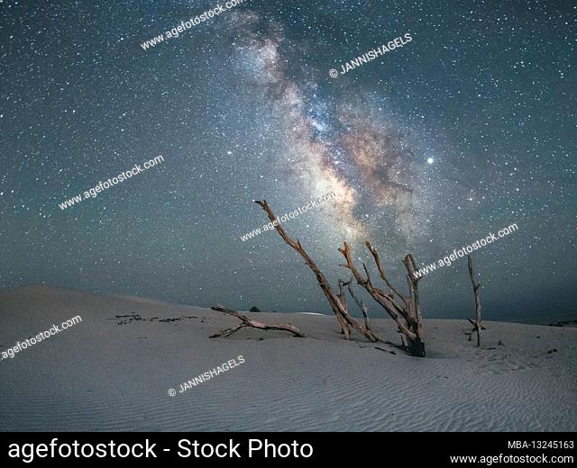 Milky Way over dead branches on the south coast of the island of Sardinia, Italy with sand dunes in the foreground