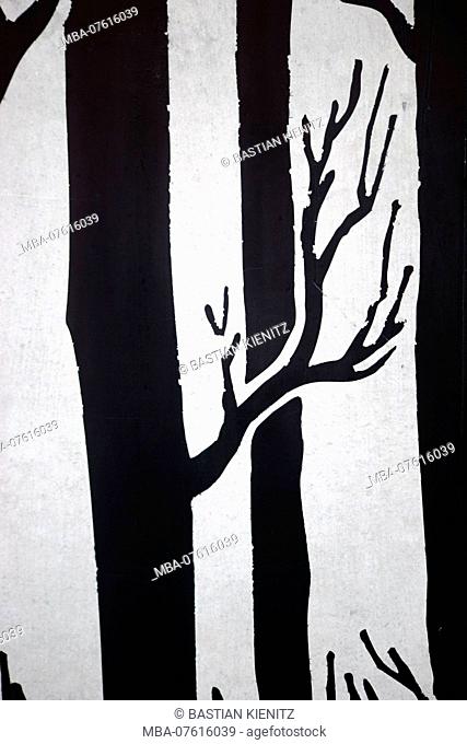 The drawn silhouettes and outlines of trees and branches on concrete