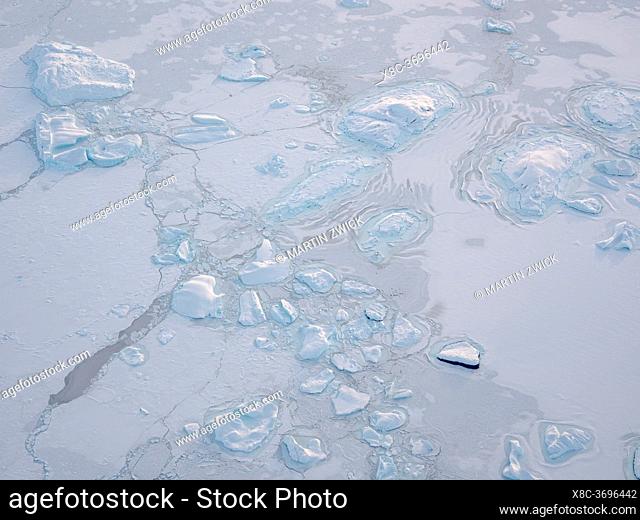 Sea ice with icebergs in the Baffin Bay, between Kullorsuaq and Upernavik in the far north of Greenland during winter