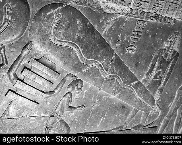 Egypt, Dendera temple, in a crypt, strange scene called ""light bulb"", sometimes seen as a proof that Ancient Egyptians knew electricity