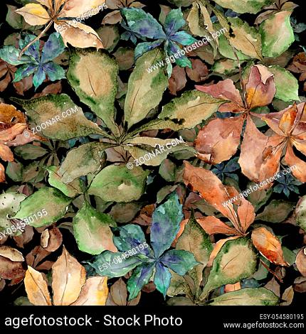 Autumn chestnut leaves. Leaf plant botanical garden floral foliage. Seamless background pattern. Aquarelle leaf for background, texture, wrapper pattern