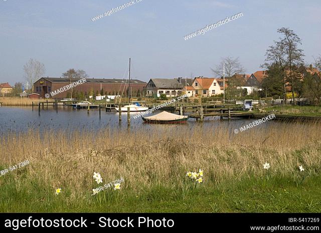 View of Arnis on the Schlei, smallest town in Germany, North Frisia, Schleswig-Holstein, Germany, Europe