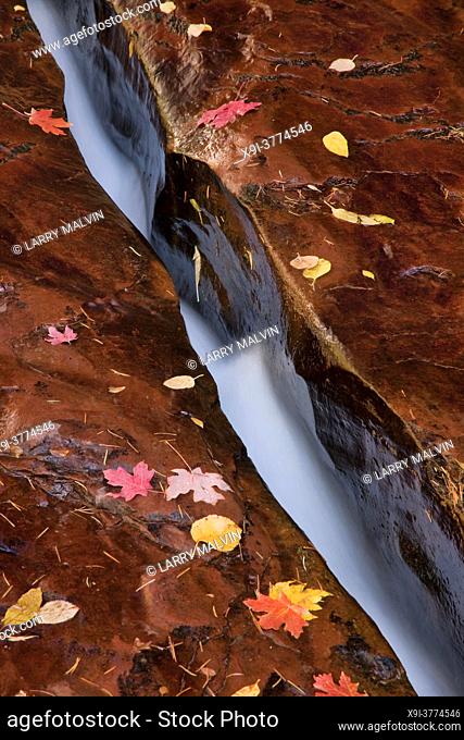 Close-up view of ""The Crack"", a cut in the terrace rock with water streaming through along the Left Fork of North Creek in the Subway section of Zion National...