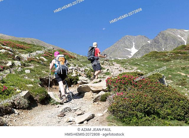 France, Pyrenees Orientales, Les Angles, hikers on the GR 10 path in Cerdagne