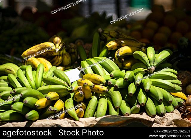 Fruits and vegetables (Madeiran bananas) at the farmer’s market (Mercado dos Lavradores) in Funchal on the Portugese island Madeira on July 22, 2022
