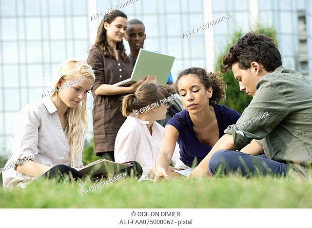 University students studying together outdoors, low angle view