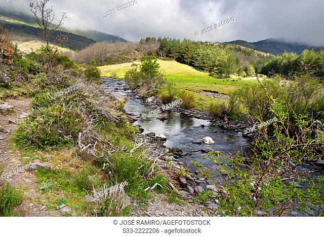 Lillas river in the Casarejo. Natural Park del Hayedo de Tejera Negra. Sierra Norte. Guadalajara. Castilla la Mancha. Spain