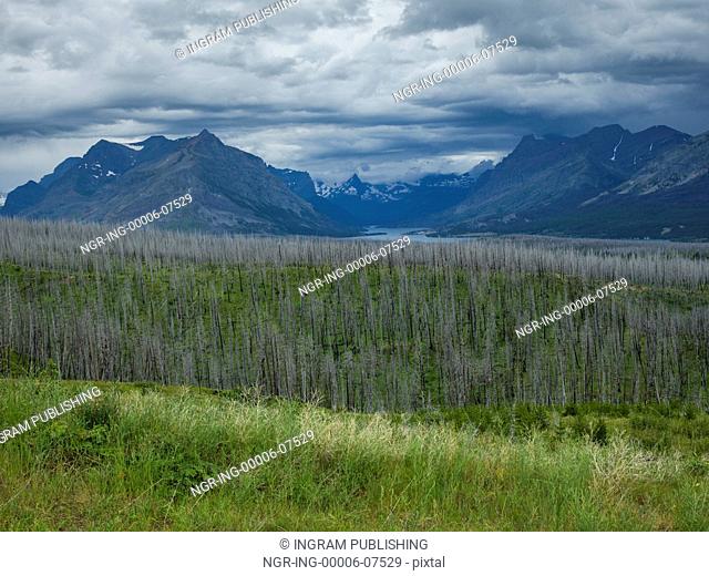 Scenic view of trees on landscape with mountain range in the background, Going-to-the-Sun Road, Glacier National Park, Glacier County, Montana, USA