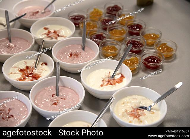 Bowls with fruit quark, yoghurt, jam, general, feature, edge motif, symbolic photo The Brotzeit project is intended to enable children to start the school day...