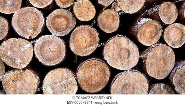 wooden logs 2