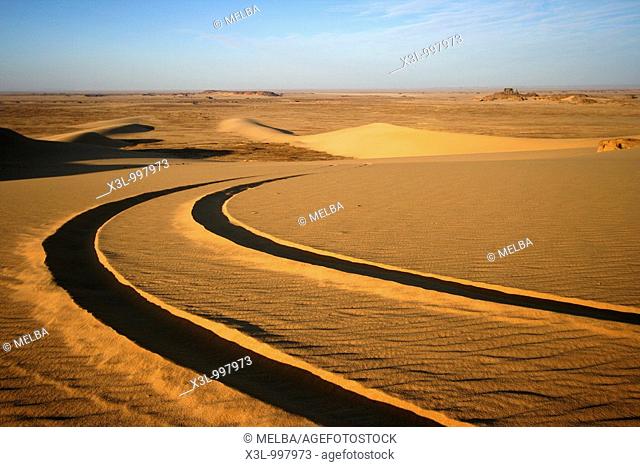 Car tracks in Tahaggart  Tassili Ahaggar  Sahara desert  Algeria
