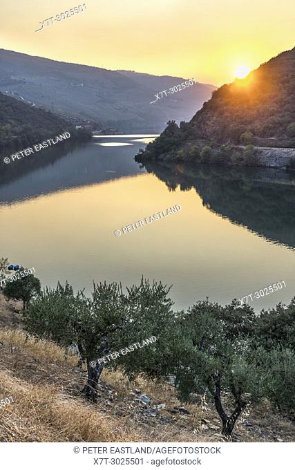 The River Douro at sunset between Folgosa and Pinhao. In the Alto Douro wine region, Northern Portugal