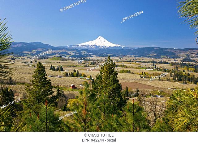 buildings on a landscape with mount hood in the background in columbia river gorge, oregon united states of america