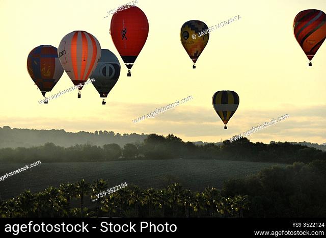 Hot air balloons in flight participating in the XXI FAI Europeans hot air balloon championship 2019, Spain, Balearic Islands, Mallorca