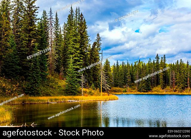 Rocky Mountains of Canada. Shallow lake surrounded by forest and yellow autumn grass. Cloudy sky reflected in lake water