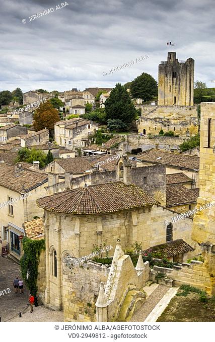 Panoramic view, Saint-Emilion Bordeaux wine region. Aquitaine Region, Gironde Department. France Europe