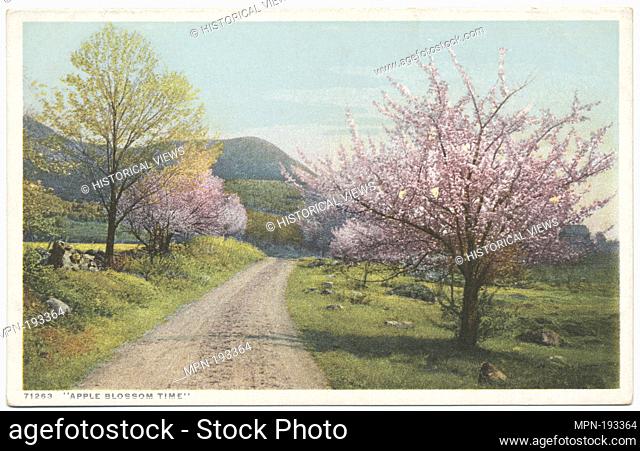 Apple Blossom Time. Detroit Publishing Company postcards 71000 series. Date Issued: 1898 - 1931 Place: Detroit Publisher: Detroit Publishing Company Date...