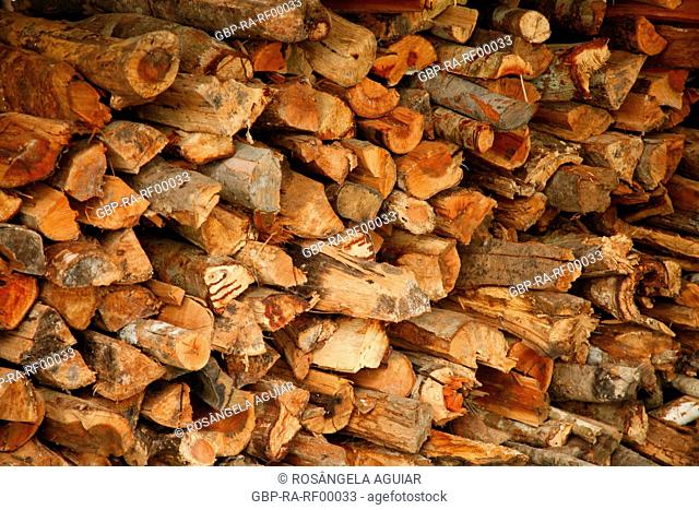 Wood, trunk, stacked, Belém, Pará, Brazil
