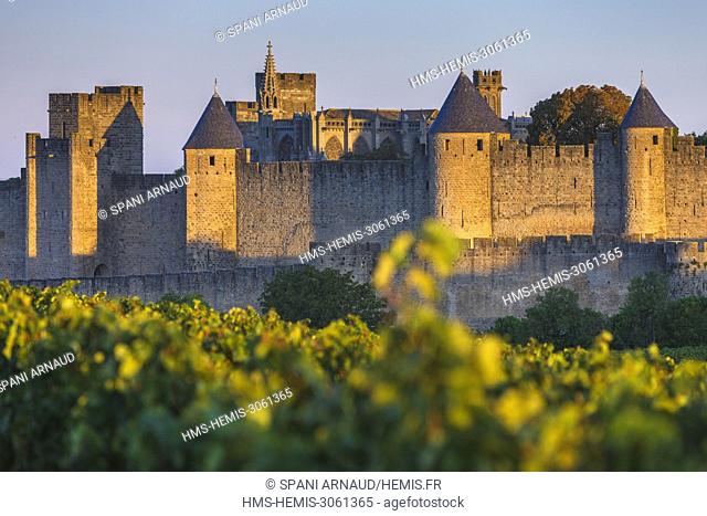 France, Aude, Carcassonne, Medieval city of Carcassonne, city &#x200b, &#x200b, view from the vineyards to the east