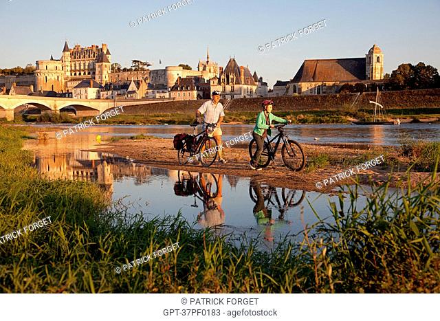 FAMILY CYCLING IN FRONT OF THE ROYAL CHATEAU ON THE BANKS OF THE LOIRE RIVER, CROIX SAINT-JEAN ISLAND, THE 'LOIRE A VELO' CYCLING ITINERARY, AMBOISE