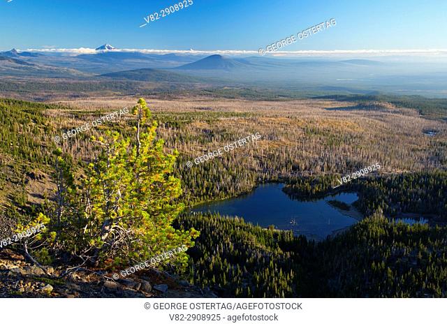 Whitebark pine with Little Three Creek Lake from Tam McArthur Rim Trail, Three Sisters Wilderness, Deschutes National Forest, Oregon