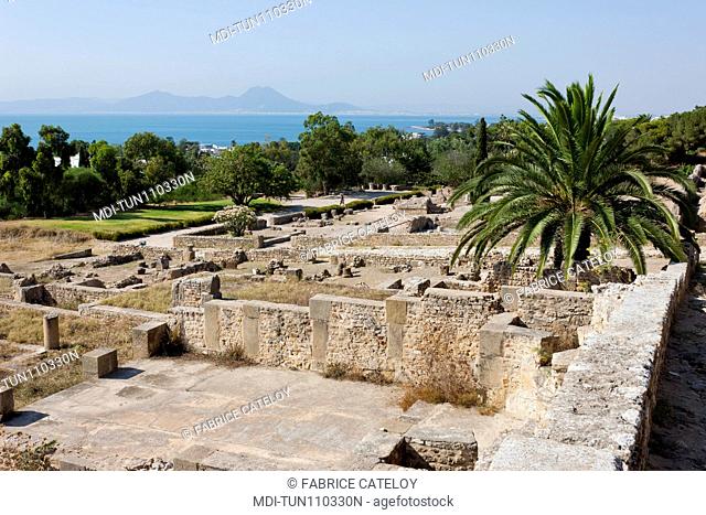 Tunisia - Carthage - The Roman houses