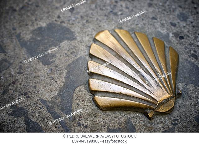 Santiago shell close up in Jaca, Huesca, Aragon, Spain