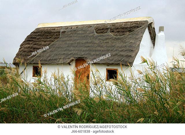Typical hut next to a ricefield. Parque natural Delta del Ebro. Tarragona. Catalonia. Spain