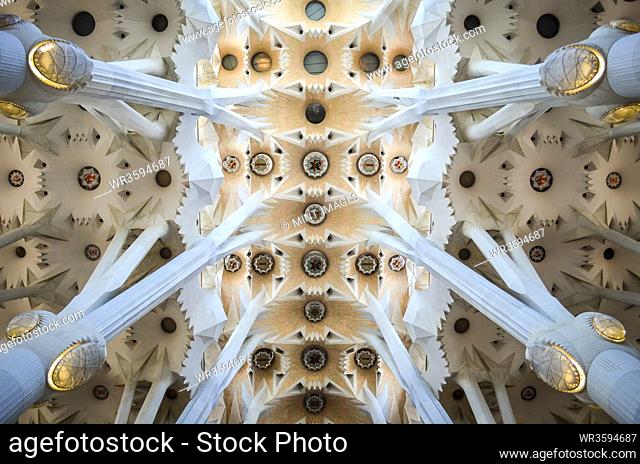 Low angle interior view of vaulting, Sagrada Familia, Barcelona, Catalonia, Spain