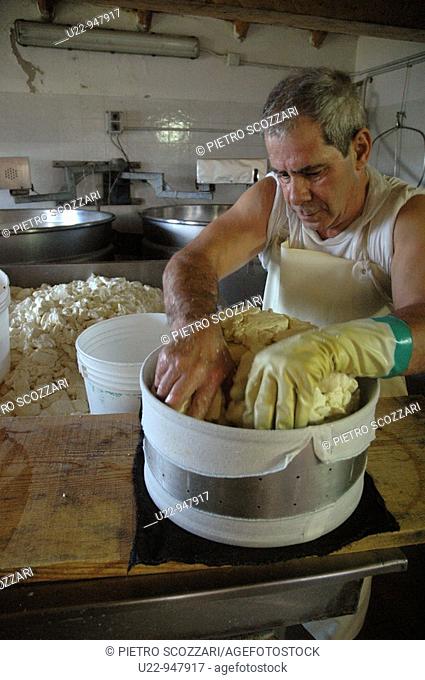 Asiago (Vicenza, Italy), a man making Asiago cheese in a malga (cheese factory)